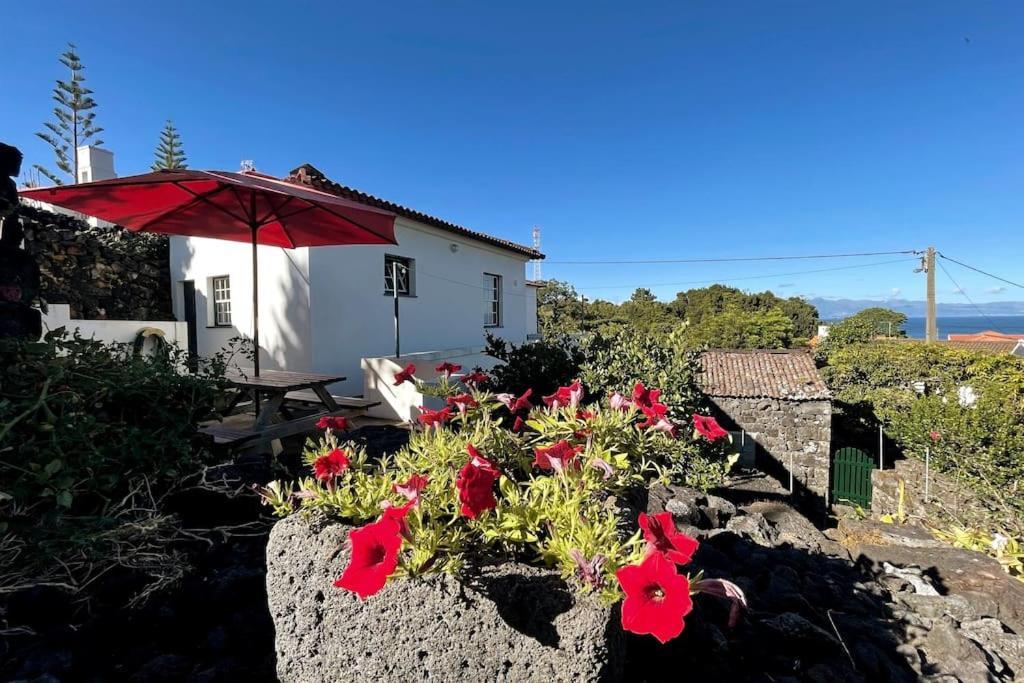 Casa Da Latada Villa São Roque do Pico Exterior foto